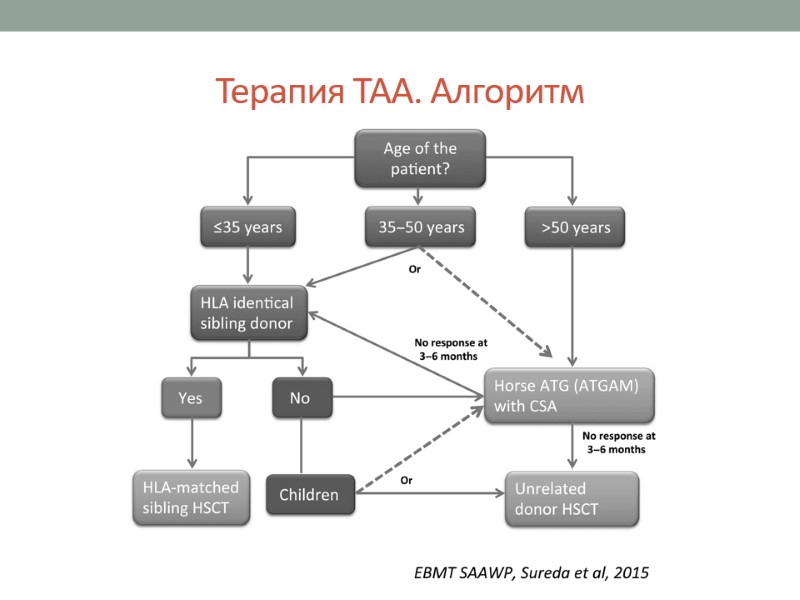 Терапия ТАА. Алгоритм